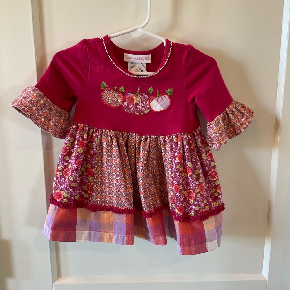 Bonnie Baby Pink and Red Dress with Pumpkin Embroidery